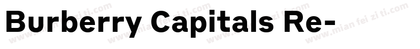Burberry Capitals Re字体转换